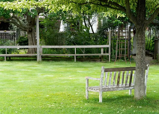 發(fā)覺(jué)微距鏡頭的魅力