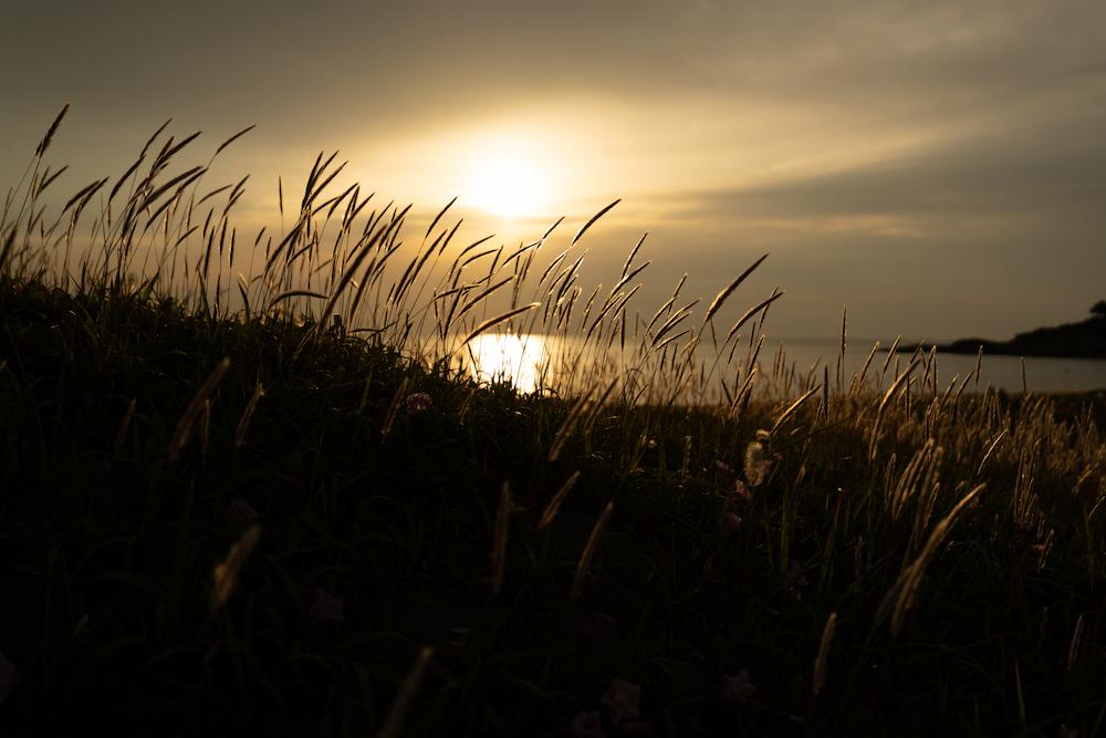 TAMRON 16-30mm F2.8 G2 (Model A064)　Focal length：30mm　Exposure：F2.8　Shutter speed：1/8000sec.　ISO：100