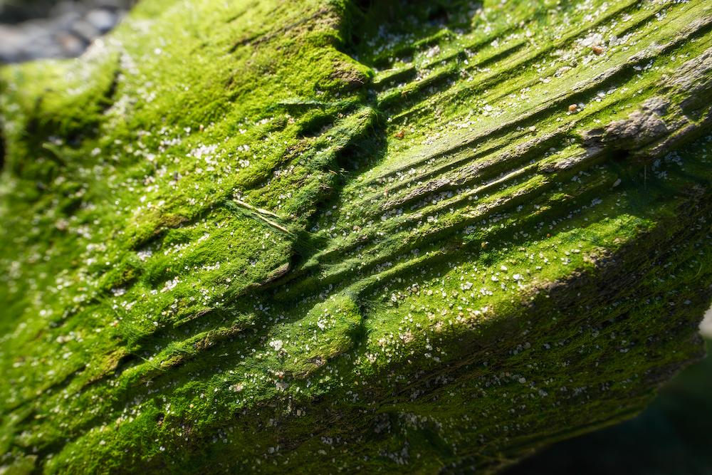 TAMRON 16-30mm F2.8 G2 (Model A064)　Focal length：16mm　Exposure：F5.6　Shutter speed：1/640sec.　ISO：100