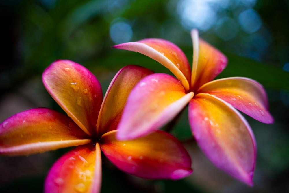 TAMRON 28-75mm F2.8 G2 (Model A063)　Focal length：28mm　Exposure：F2.8　Shutter speed：1/1250sec.　ISO：400