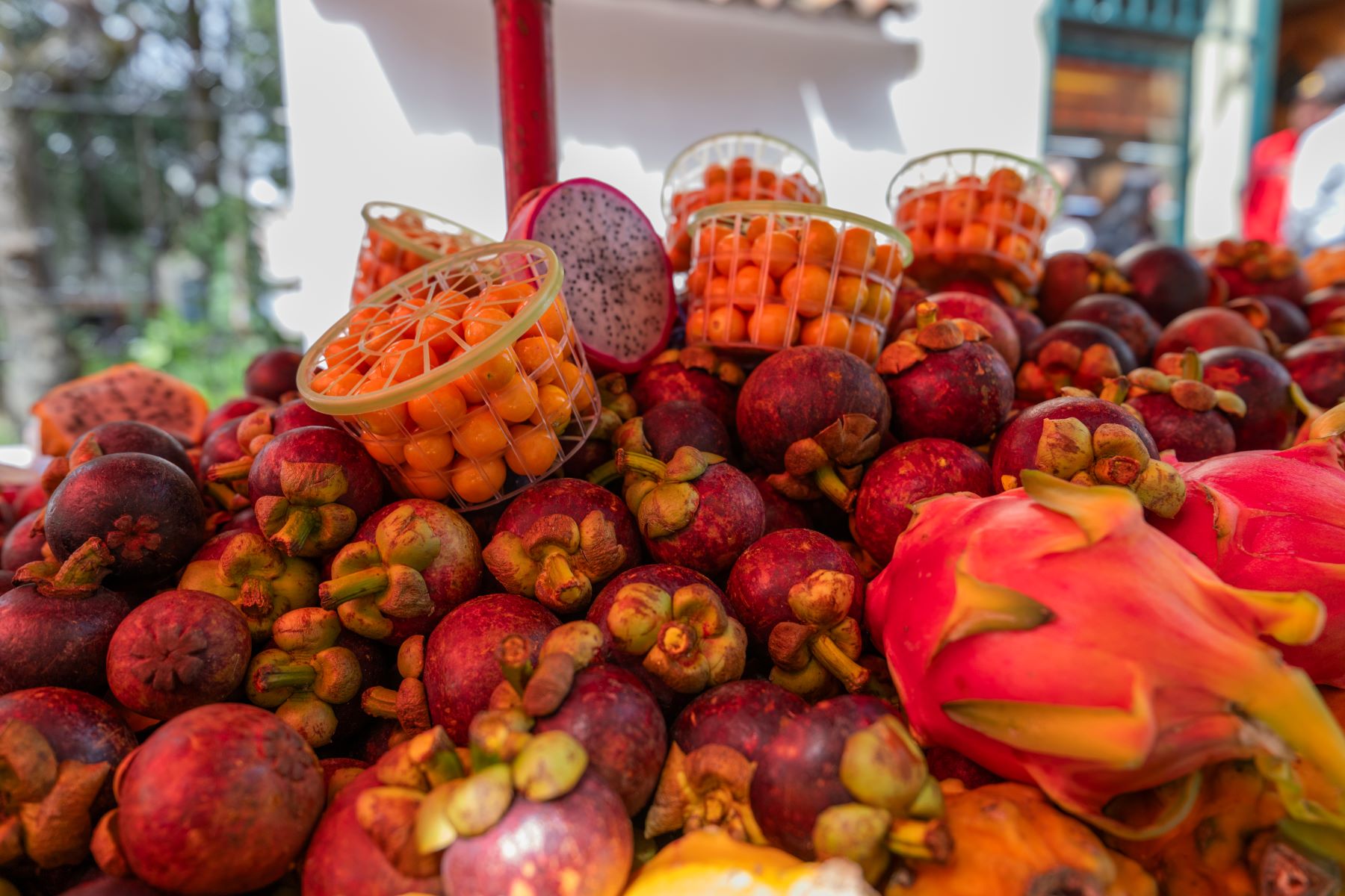 Photo taken by TAMRON Wide Angle Zoom Lens